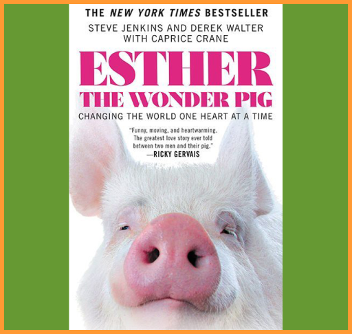 Esther The Wonder Pig